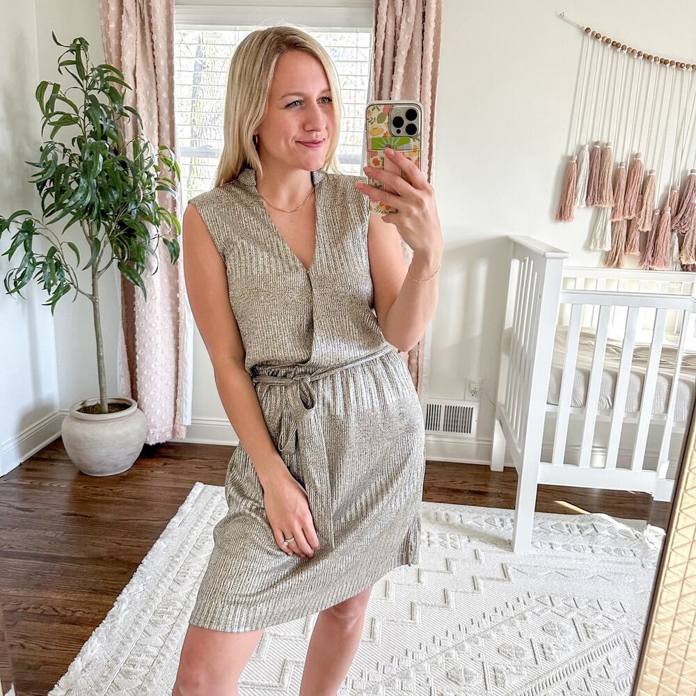 Bishop + Young Olivia Metallic Dress XS